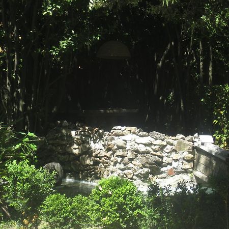 Villa Patrizia B&B Lucca Bagian luar foto