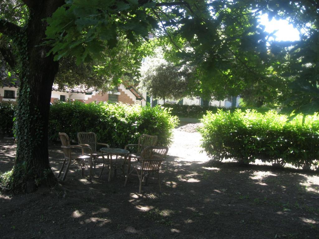 Villa Patrizia B&B Lucca Bagian luar foto