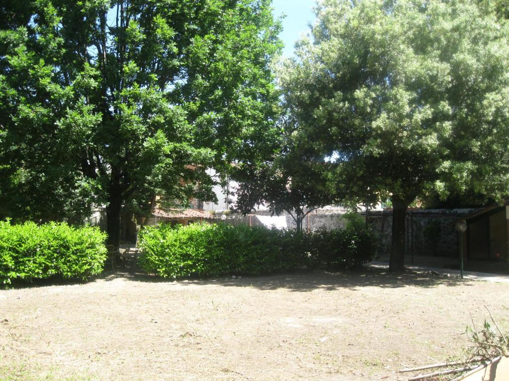 Villa Patrizia B&B Lucca Bagian luar foto