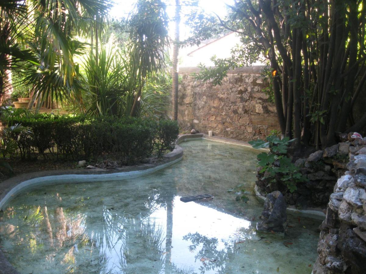 Villa Patrizia B&B Lucca Bagian luar foto